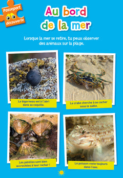 Passeport - De la Petite à la Moyenne Section 3/4 ans