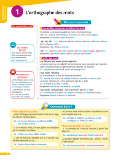 Pour comprendre toutes les matières 5e