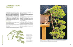 L'art du bonsaï - Guide pratique et philosophique