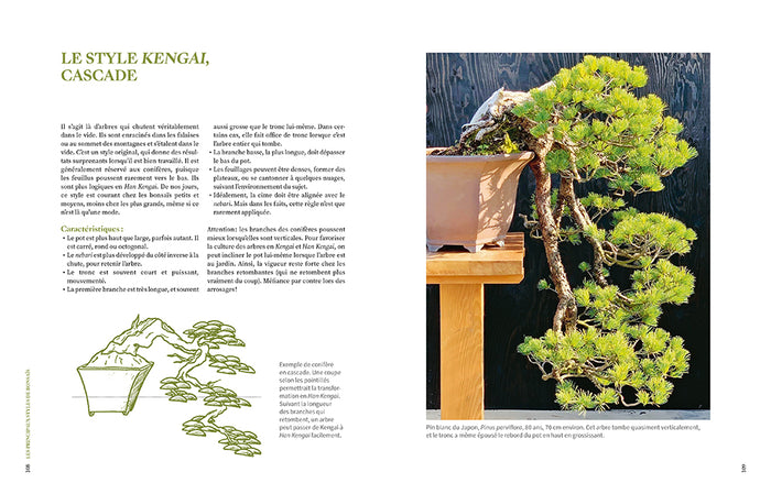 L'art du bonsaï - Guide pratique et philosophique