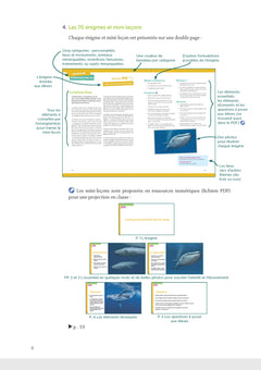 Une énigme par jour - Grej of the day - Cycle 3