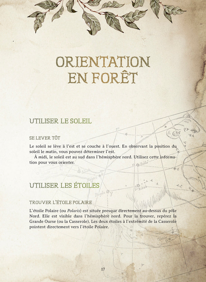 Le Forestarium - Mythes, légendes et explorations au coeur de la forêt