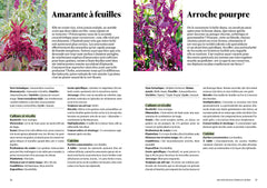 Des légumes pas comme les autres