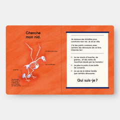 Quel est ce Dinosaure ?