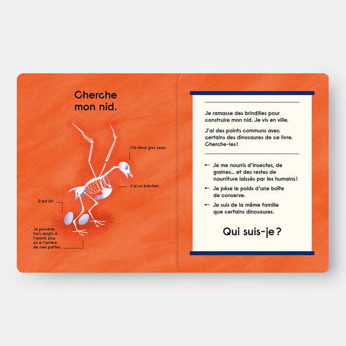 Quel est ce Dinosaure ?