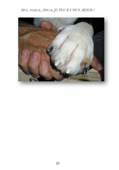 Moi, animal, 200 gr, je peux vous aider !