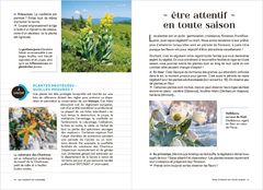 Les carnets du scarabée - Fleurs sauvages