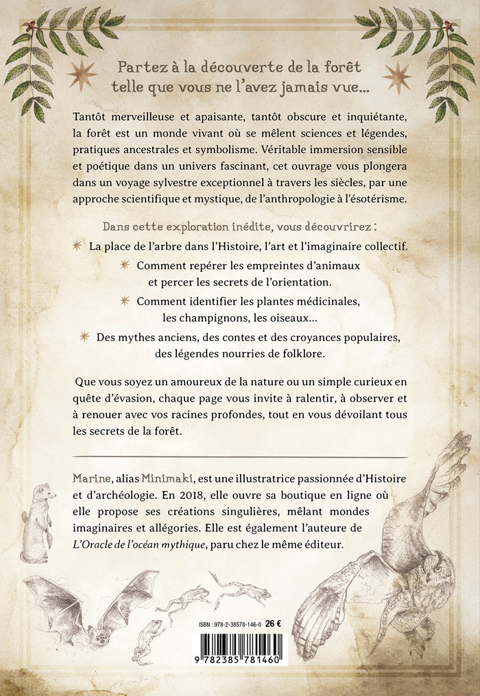 Le Forestarium - Mythes, légendes et explorations au coeur de la forêt