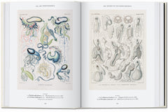 L’art et la science de Ernst Haeckel