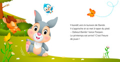 Mes premières histoires - Panpan fête le Printemps