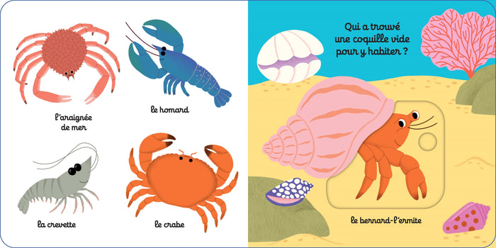 Mon imagier animé sous l'océan