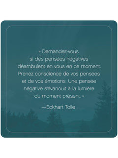 L'Appel du moment présent d'Eckhart Tolle - 52 cartes pour calmer l'esprit et vivre dans l'ici et maintenant