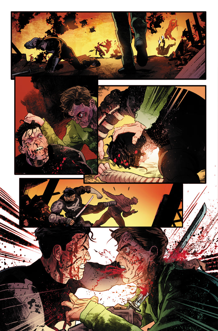 Punisher : Journal de guerre