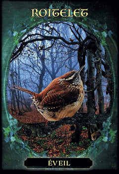 L'oracle des familiers des sorcières