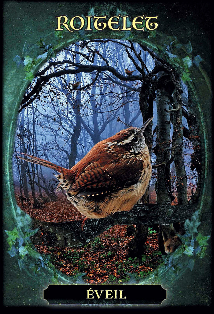 L'oracle des familiers des sorcières