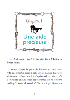 Roman AU GALOP, une année à cheval - Il faut sauver Nox et Zach