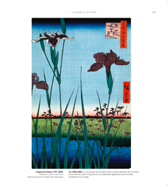Chefs d'oeuvre du Japon - L'art de l'estampe