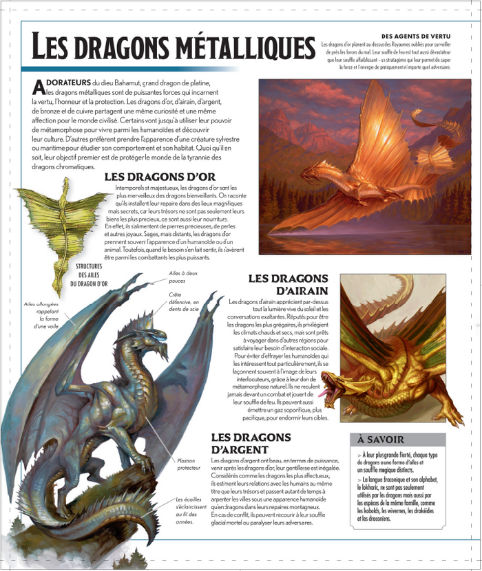 L'encyclopédie visuelle Dungeons & Dragons - La Légende de Drizzt