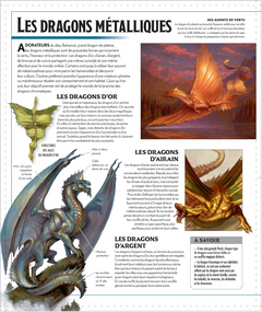 L'Encyclopédie visuelle DUNGEONS & DRAGONS - La Légende de Drizzt