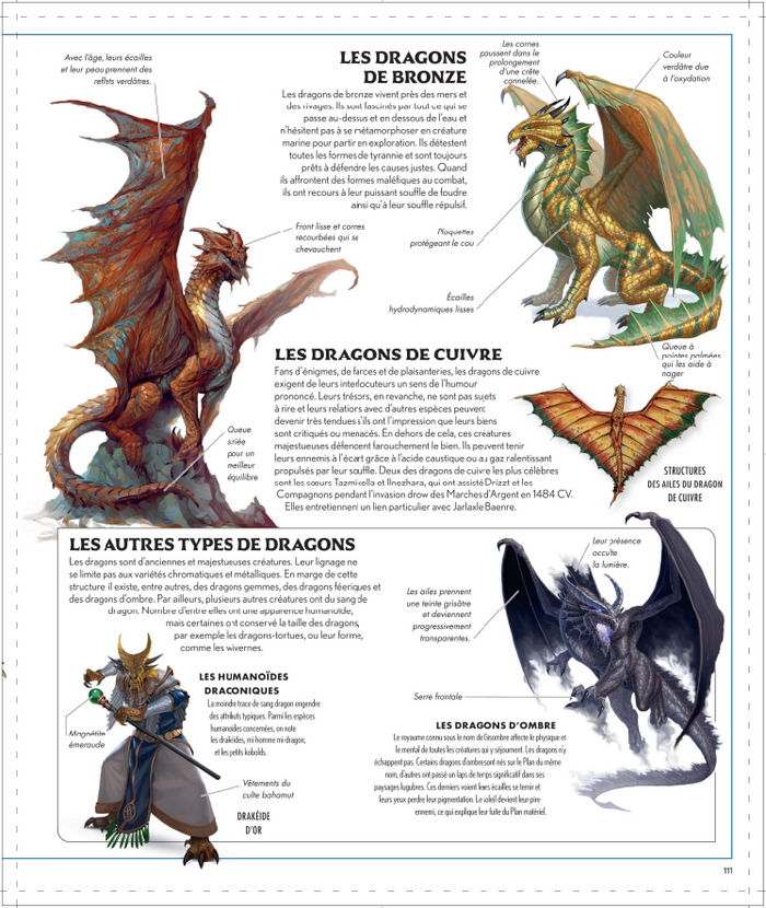 L'encyclopédie visuelle Dungeons & Dragons - La Légende de Drizzt