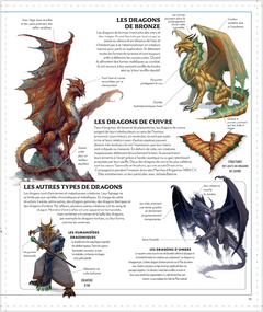 L'Encyclopédie visuelle DUNGEONS & DRAGONS - La Légende de Drizzt