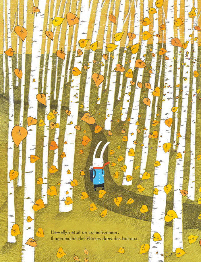 La collection de trésors