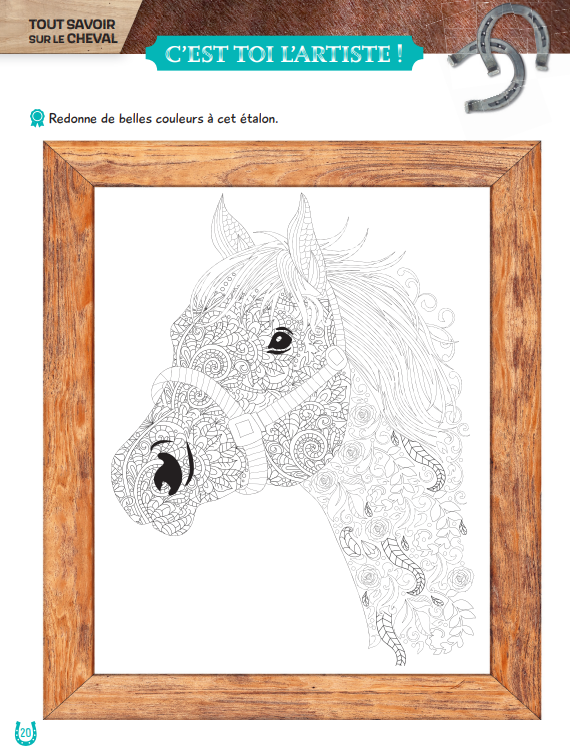 Mon grand cahier d'activités  AU GALOP, spécial Chevaux