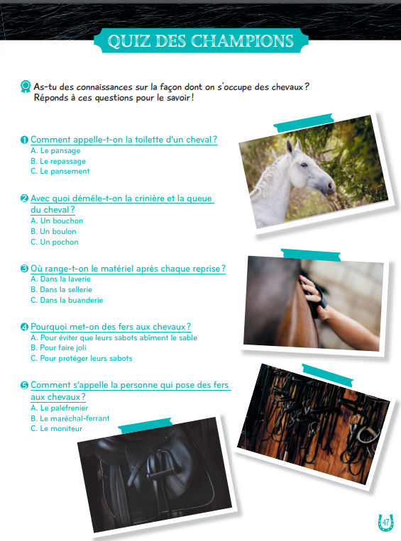 Mon grand cahier d'activités  AU GALOP, spécial Chevaux