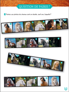 Mon grand cahier d'activités  AU GALOP, spécial Chevaux