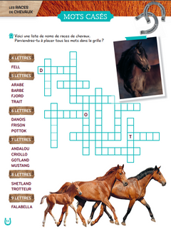 Mon grand cahier d'activités  AU GALOP, spécial Chevaux