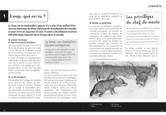 Le bourricot, Pour l'annonce