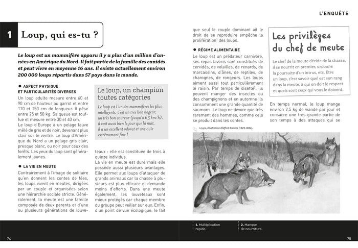 Le bourricot, Pour l'annonce