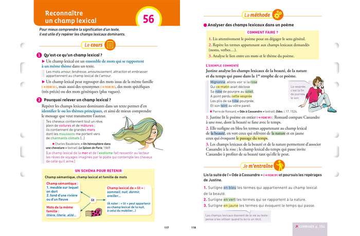 Français 4e (fiches de révision & exercices)