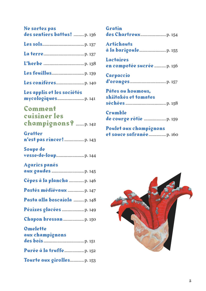 Comment trouver des champignons ?