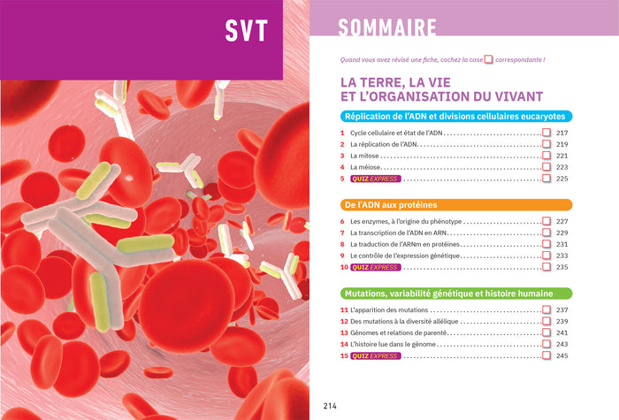 Fiches bac Mes 3 spécialités 1re générale
