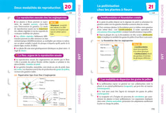 Fiches bac Mes 2 spécialités Tle générale : Physique-chimie, SVT & Grand Oral - Bac 2024: nouveau programme de Terminale