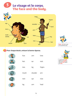 Chouette - Anglais CE2