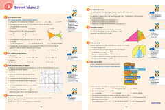 Maths 3e: cahier de révision et d'entraînement