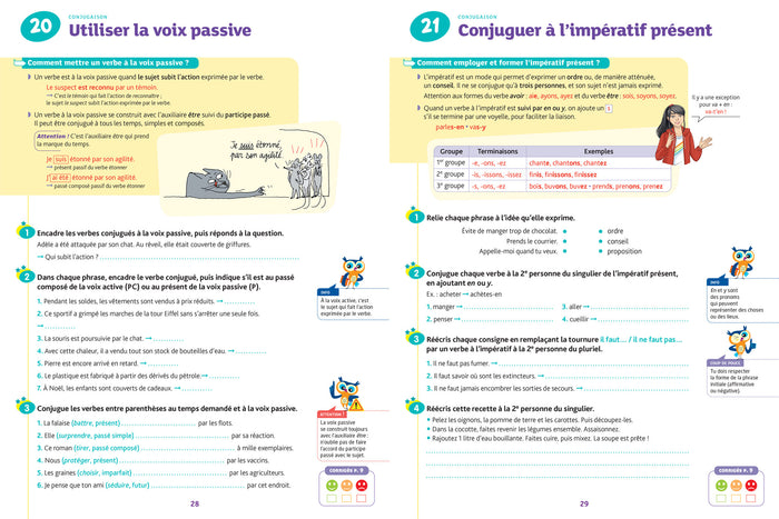 Français 5e: cahier de révision et d'entraînement