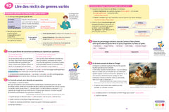 Français 5e: cahier de révision et d'entraînement