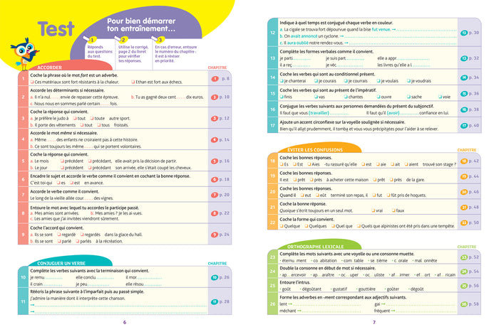 Dictées 3e: cahier de révision et d'entraînement
