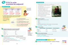 Dictées 3e: cahier de révision et d'entraînement