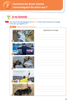 Les Cahiers de la Luciole - Sciences CM1 Ed. 2022