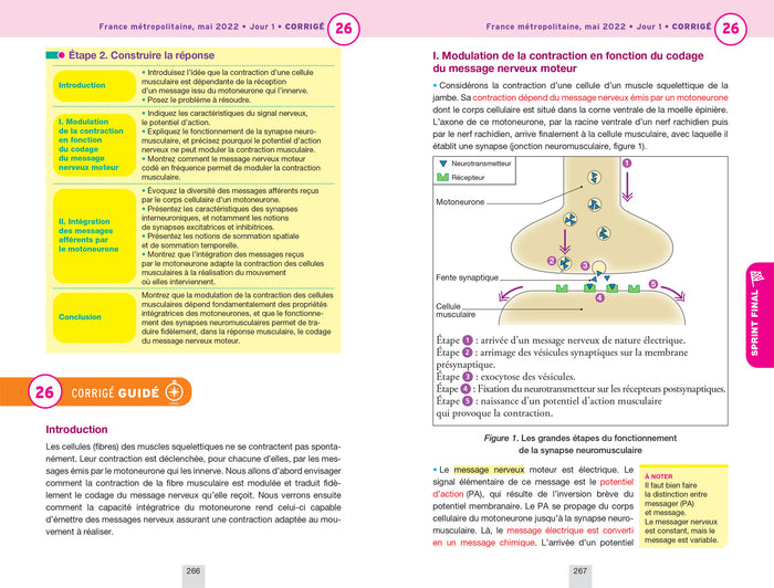 Annales du bac Annabac 2023 SVT Tle générale (spécialité)