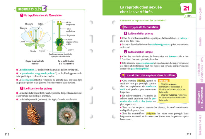 Fiches brevet L'intégrale du Brevet 2023 3e