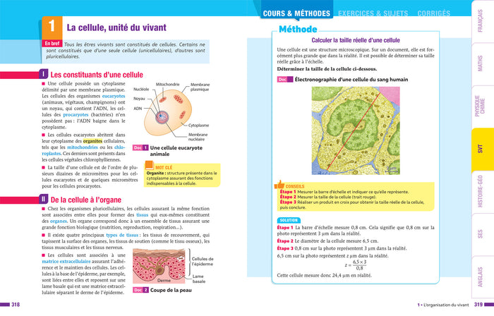 Prépabac Le tout-en-un 2de (toutes les matières)