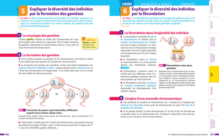 Prépabrevet Tout le brevet 2024 3e