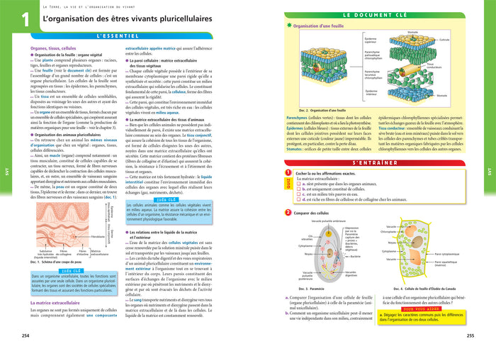 Tout savoir 2de 2023-2024