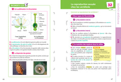 Fiches brevet Sciences 3e