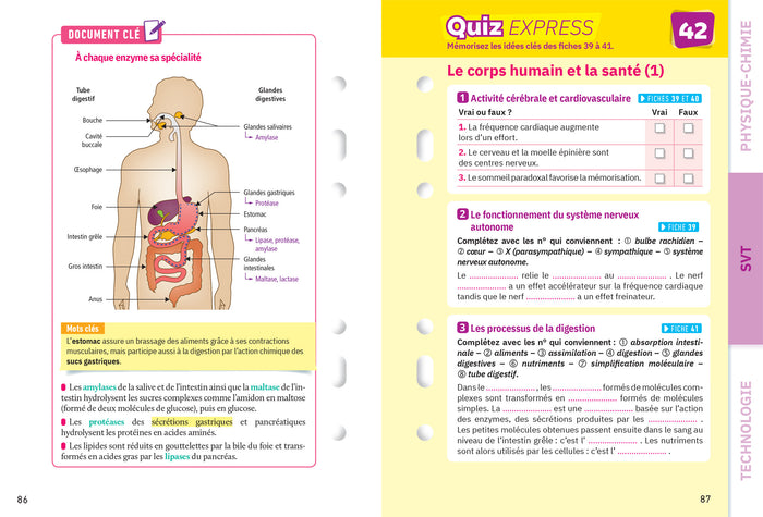 Fiches brevet Sciences 3e